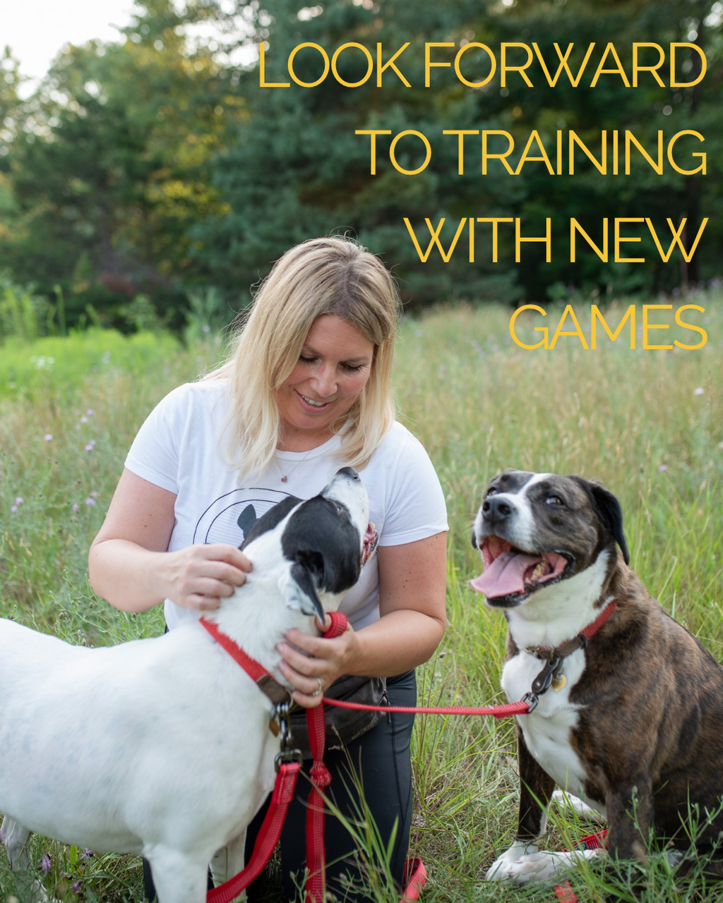 PUP & PLAY GAMES eBOOK