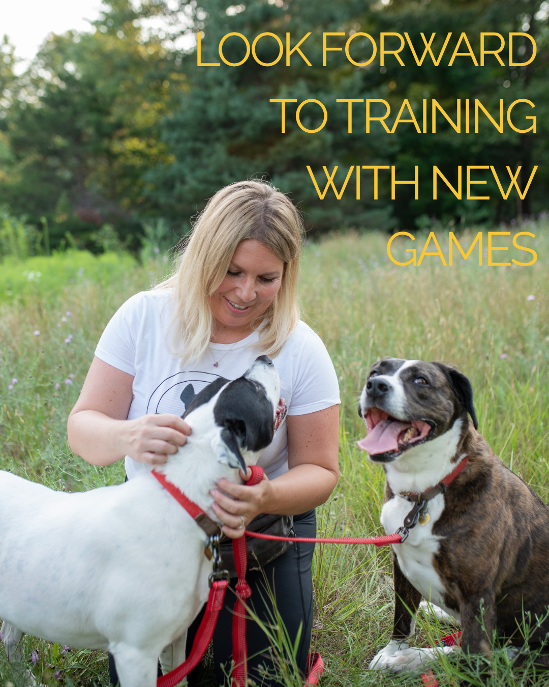 PUP & PLAY GAMES eBOOK