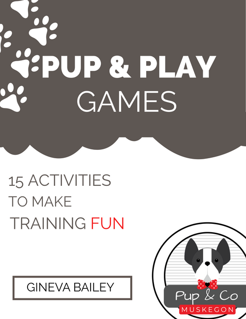 PUP & PLAY GAMES eBOOK
