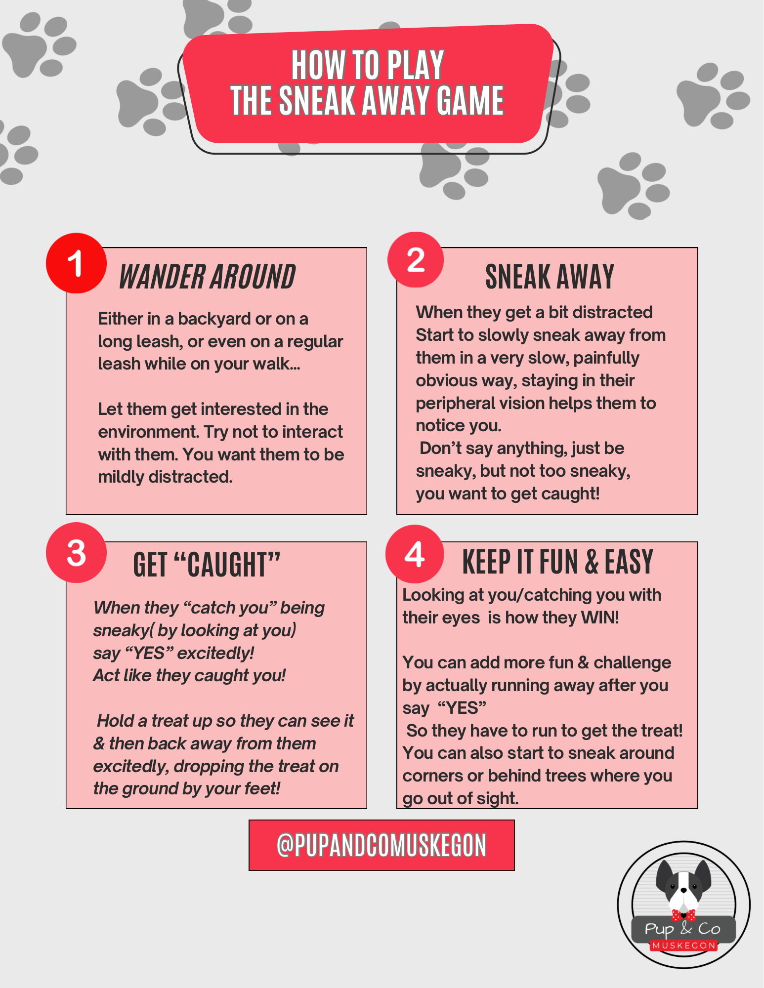 PUP & PLAY GAMES eBOOK