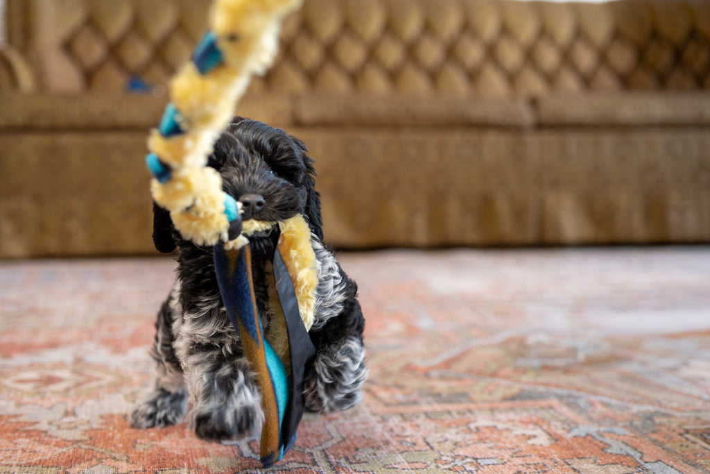 Chase & Tug Toy