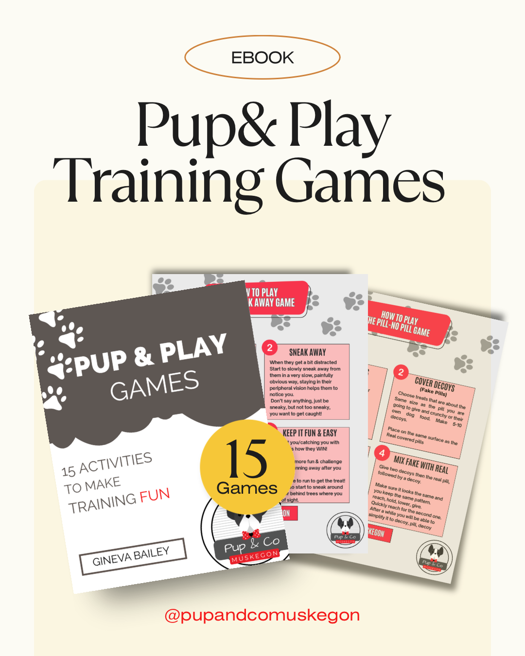 PUP & PLAY GAMES eBOOK