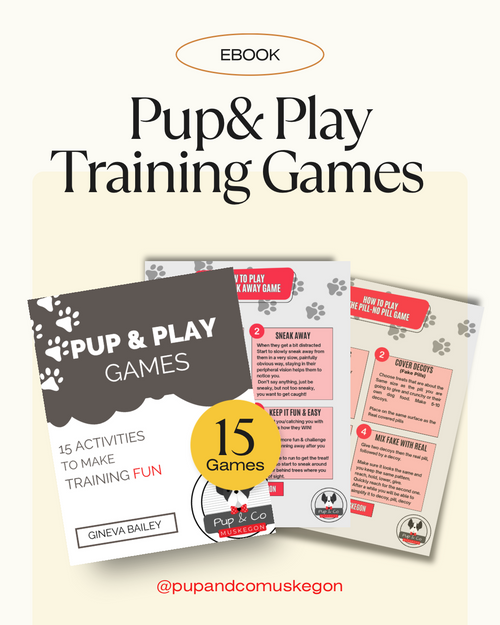 PUP & PLAY GAMES eBOOK